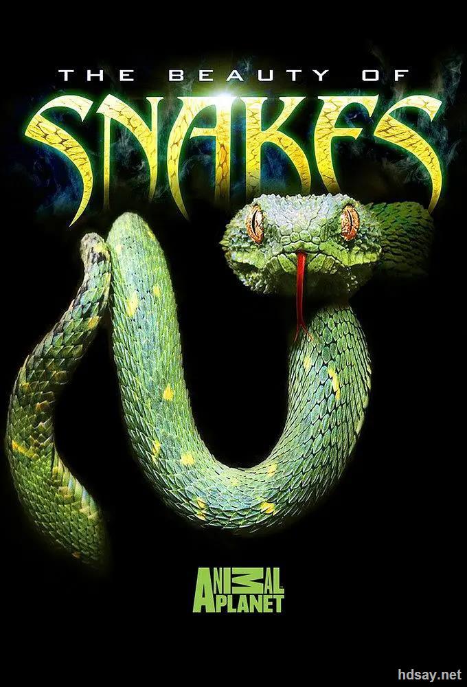 the.beauty.of.snakes.2008.bluray.1080p.ac3.x264-chd