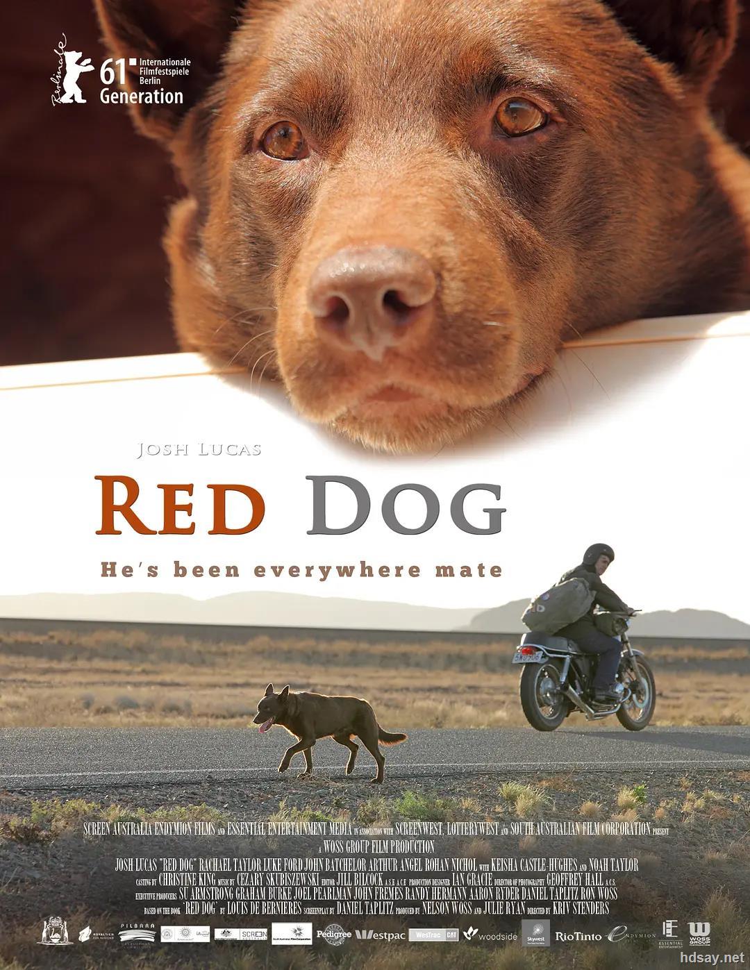[红犬历险记] red.dog.2011.bluray.720p.dts.x264-chd 4.36g