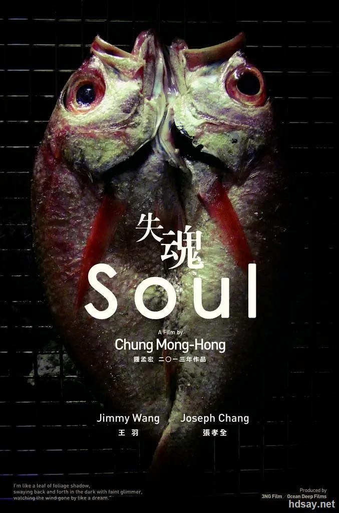 [中国台湾][剧情/悬疑/惊悚][失魂][bd-mkv/2.