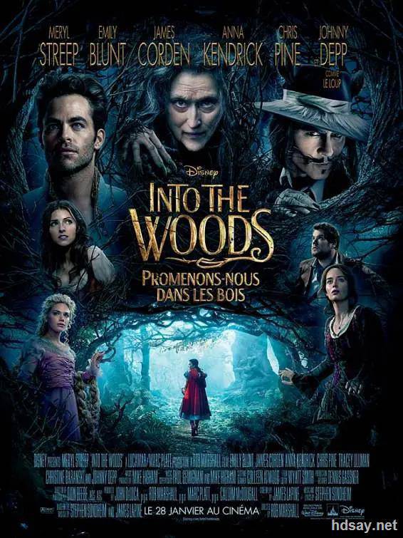 Into the Woods