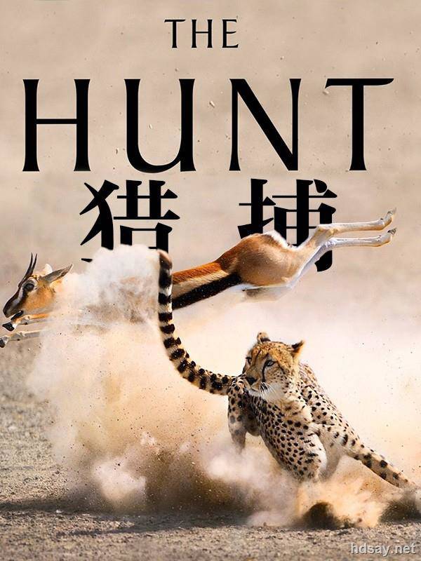 The Hunt‎