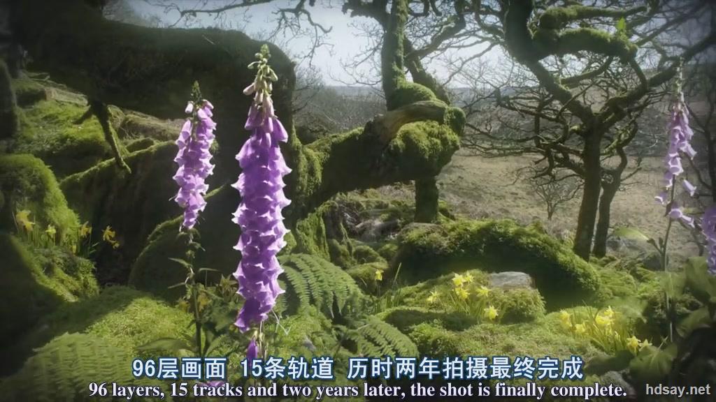 BBC：生命