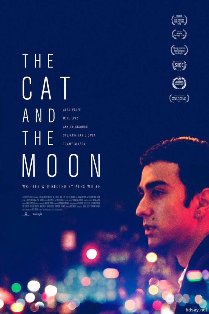 TheCatandtheMoon