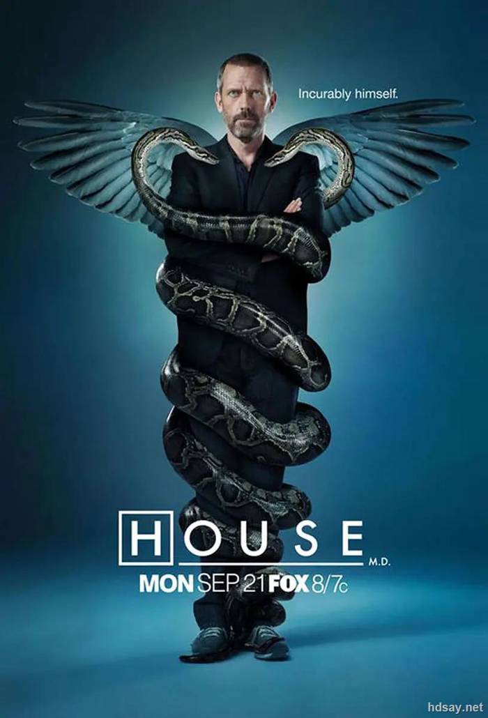 豪斯医生 第六季 House M.D. Season 6 (2009)