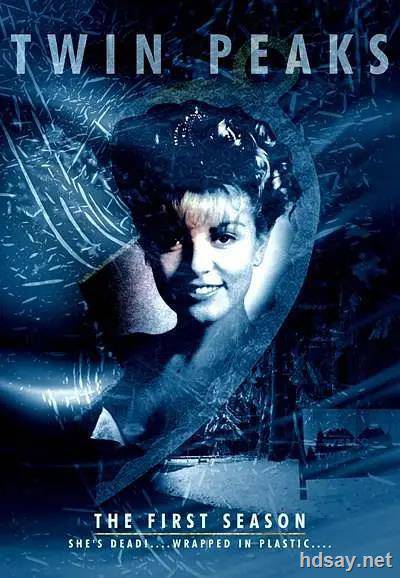 双峰 第一季 Twin Peaks Season 1 (1990)