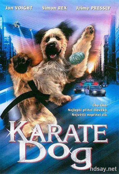 功夫神犬.The Karate Dog(2005)