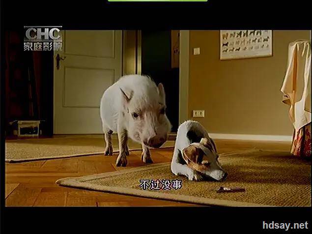 宠物寄语.Tierisch verknallt(2012)