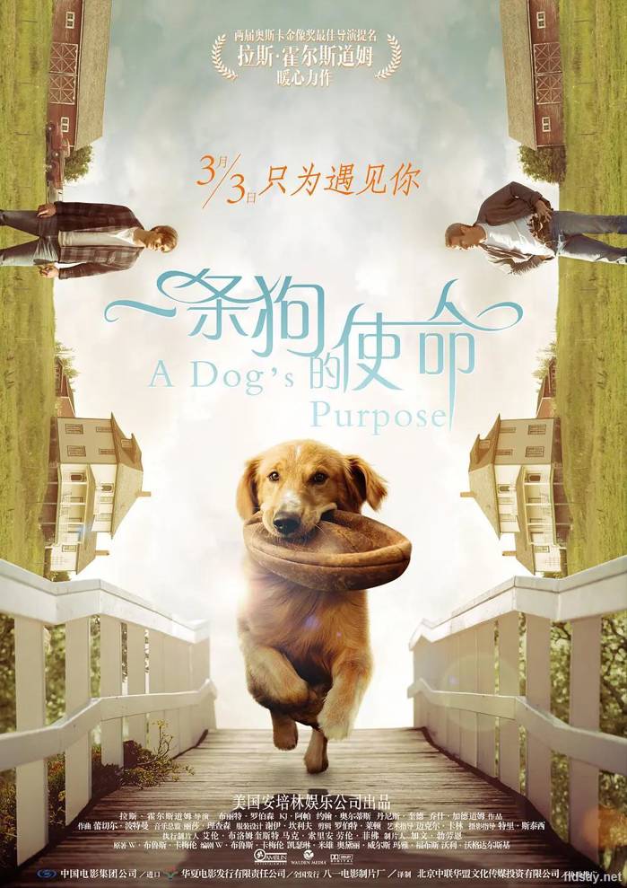 A Dog's Purpose
