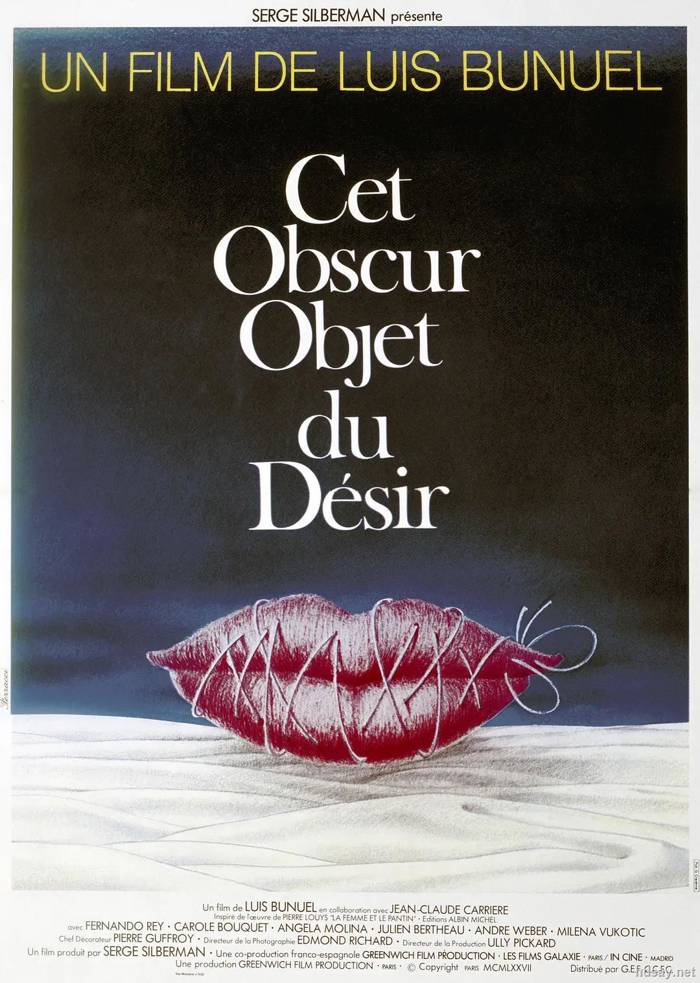 朦胧的欲望 Cet obscur objet du désir (1977)