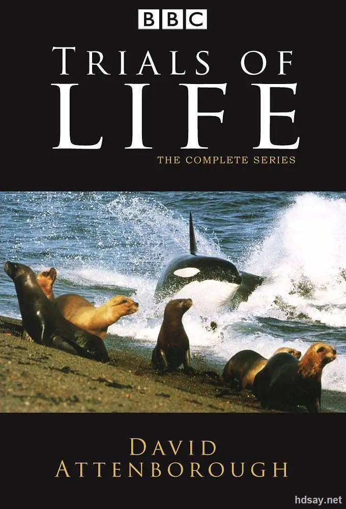 The Trials of Life(1990)