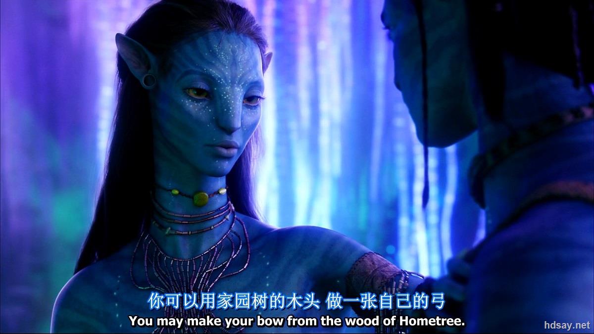 阿凡达加长版国项双语mkv15gb1080特效字幕讲解2009经典科幻豆瓣88