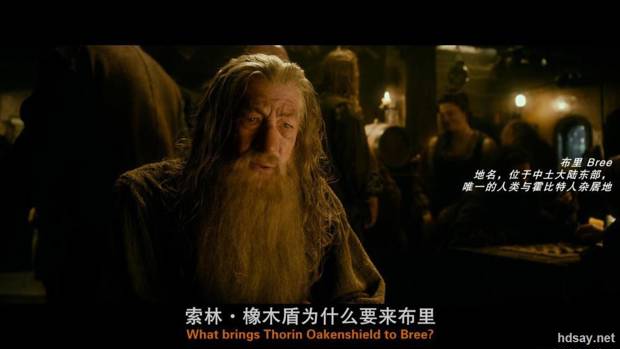 霍比特人Ⅱ：史矛革之战