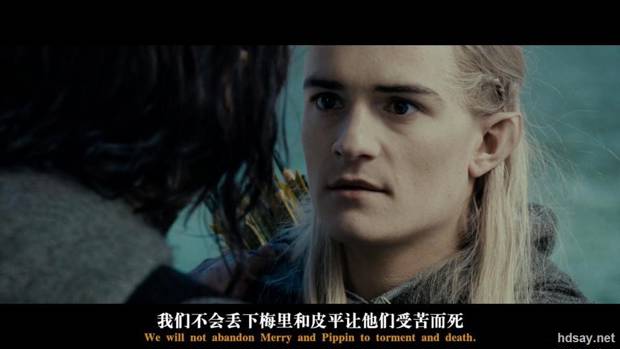 指环王Ⅰ：魔戒再现