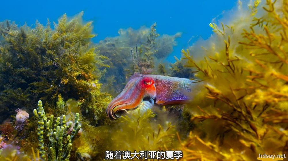 蓝色星球2