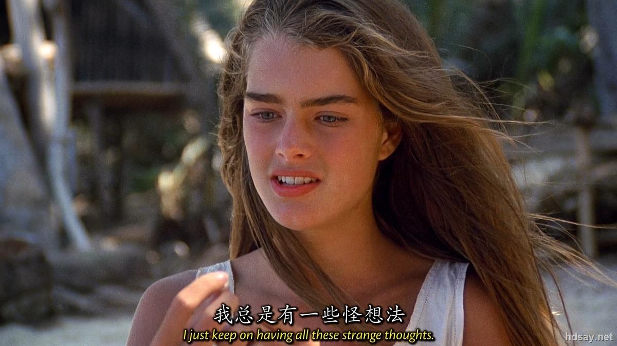 青春珊瑚岛