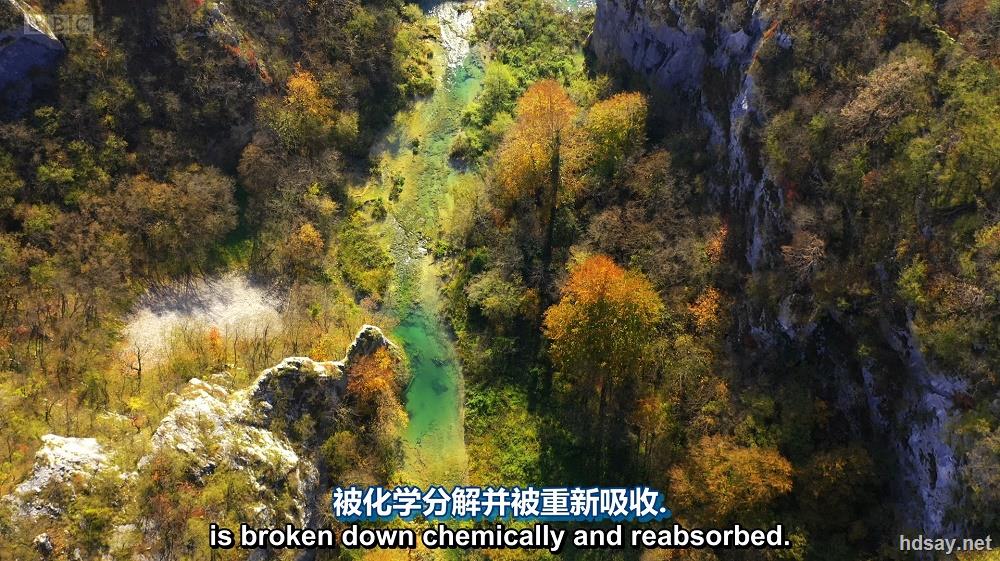 完美星球