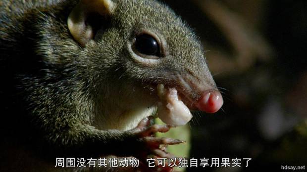 BBC：隐秘王国