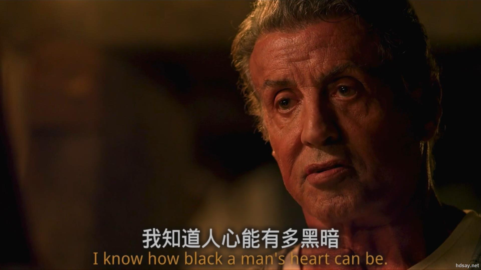 第一滴血5：最后的血