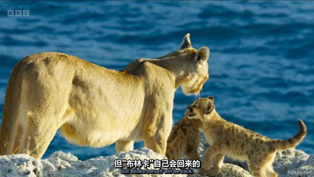 王朝 第二季