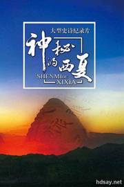 神秘的西夏