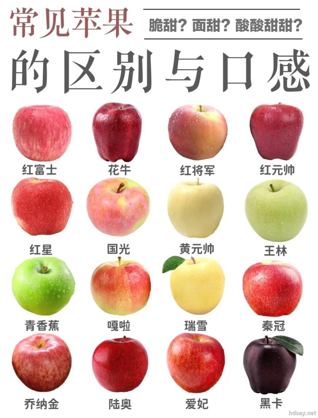 青森苹果，这可能是世界上最好吃的苹果！