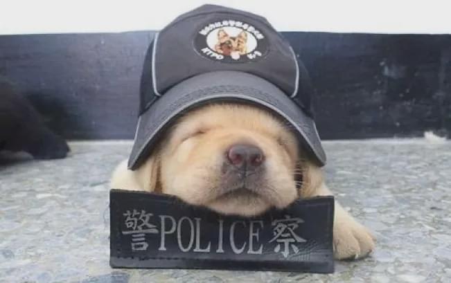 SmileSun 的头像 SmileSun 的头像