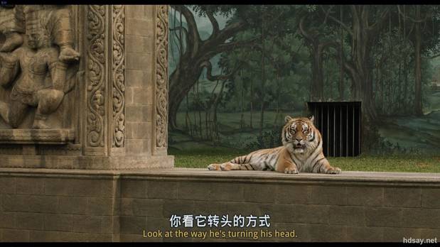 少年派的奇幻漂流