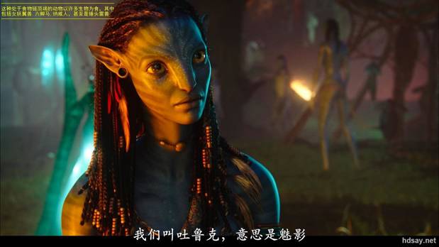 阿凡达1