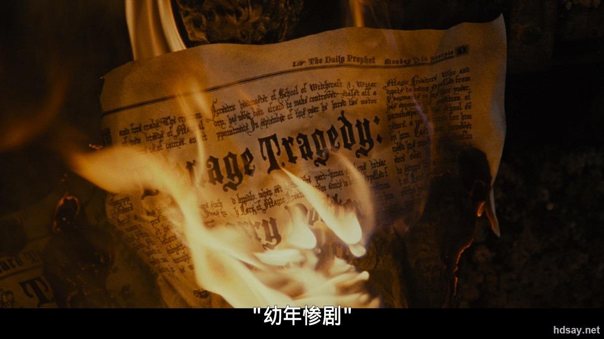 哈利·波特与密室