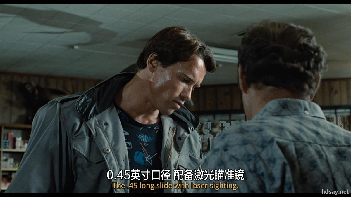 终结者系列