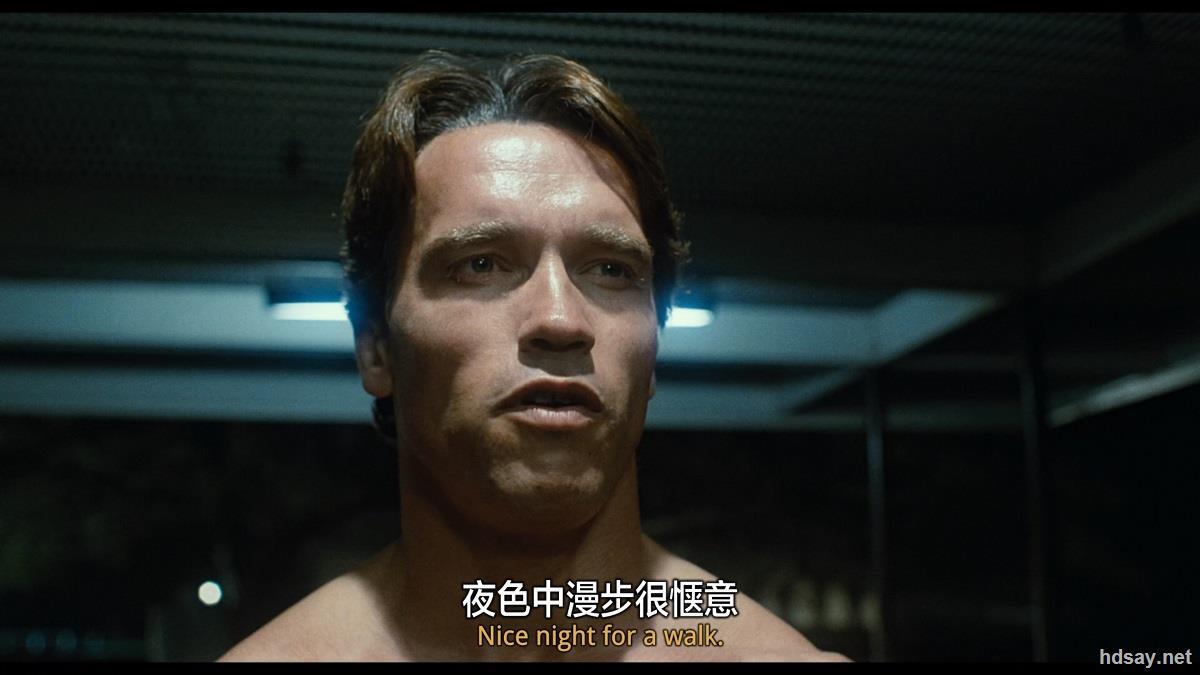 终结者合集