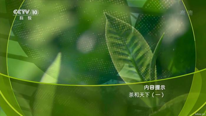 茶和天下
