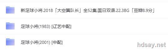 足球小将辽译国配
