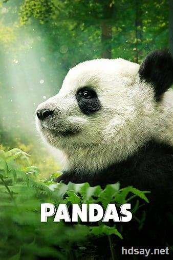 大熊猫 Pandas (2018) 