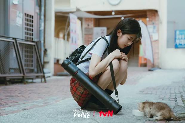 闪烁的西瓜