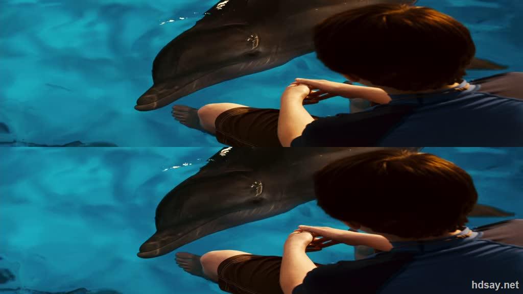 3d.海豚的故事.Dolphin.Tale.2011