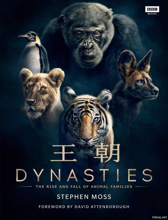 BBC王朝 第一季 Dynasties Season 1