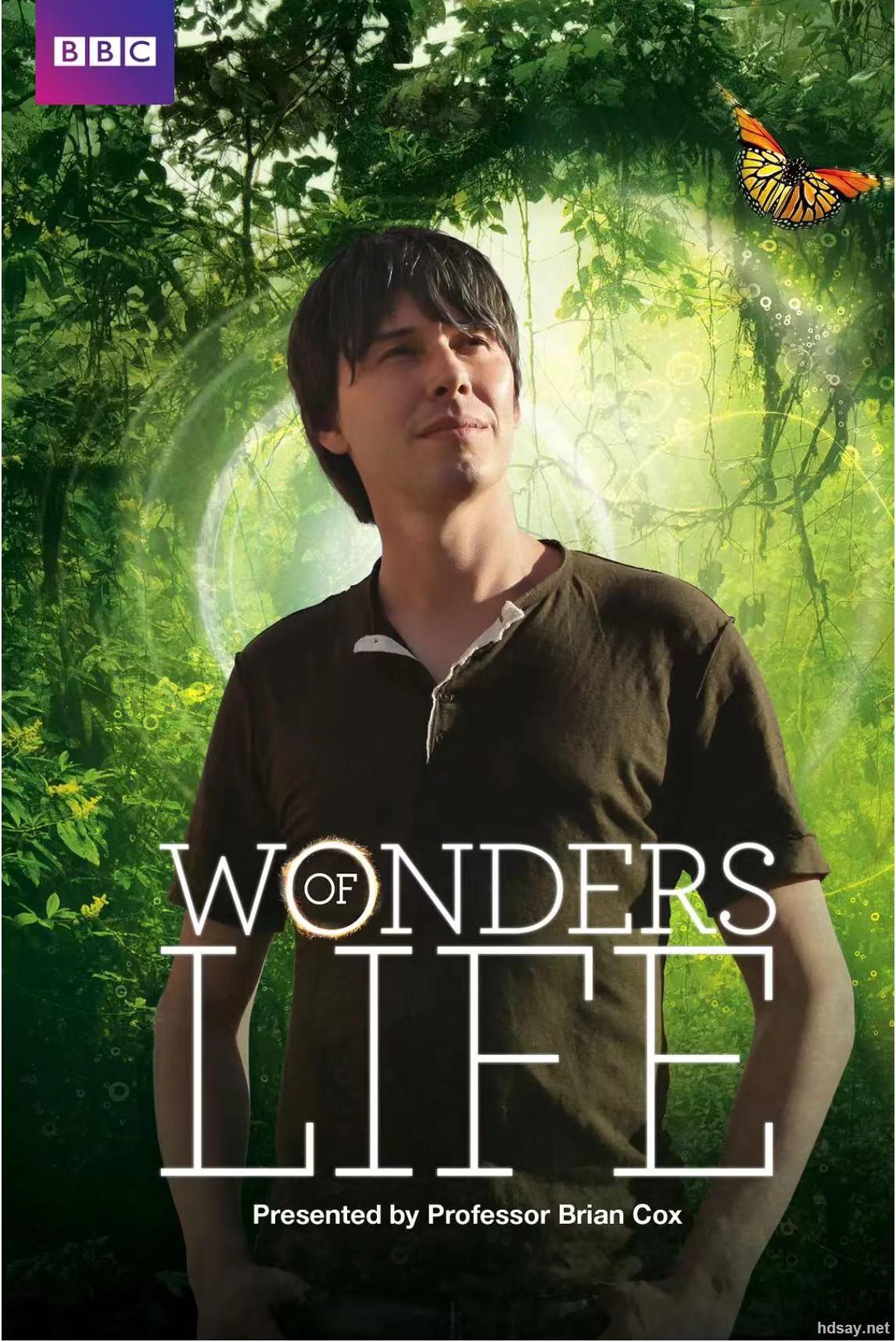 生命的奇迹 Wonders of Life BBC