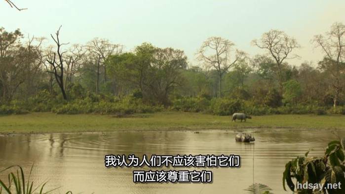 72 Dangerous Animals - Asia Season 1