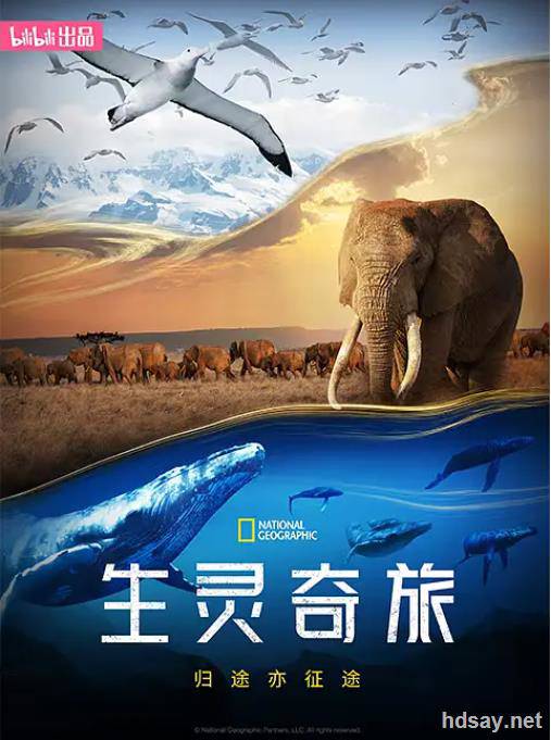 不可思议的动物之旅