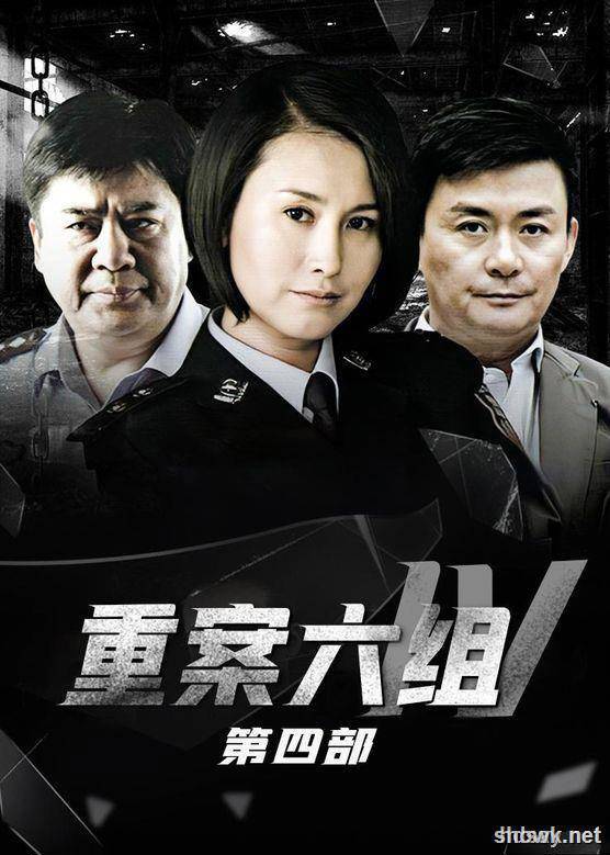 2011重案六组第四部 全36集