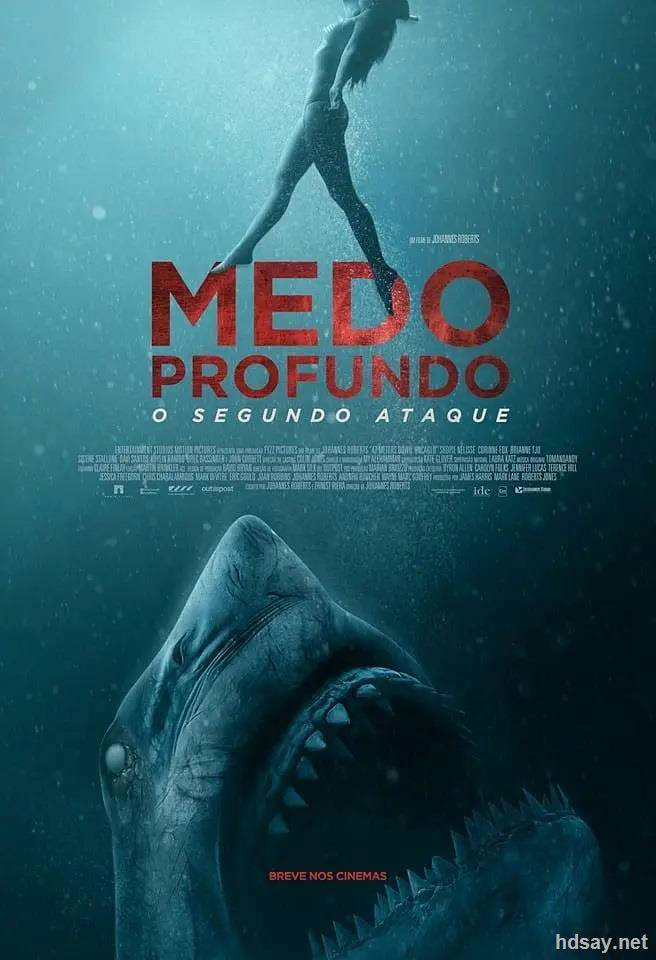 鲨海47MetersDown(2016)鲨海逃生47MetersDown:Uncaged(2019)国语配音706kb