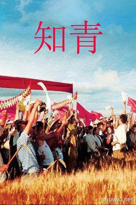 爱情片