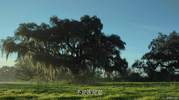 神探狗笨吉