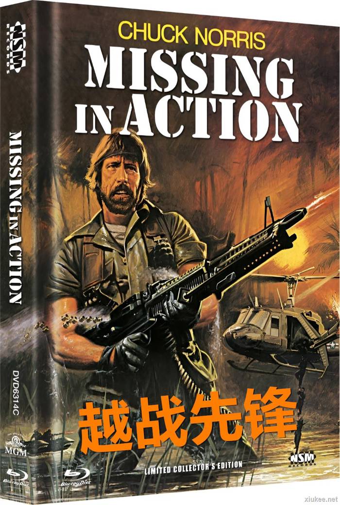 MissinginAction