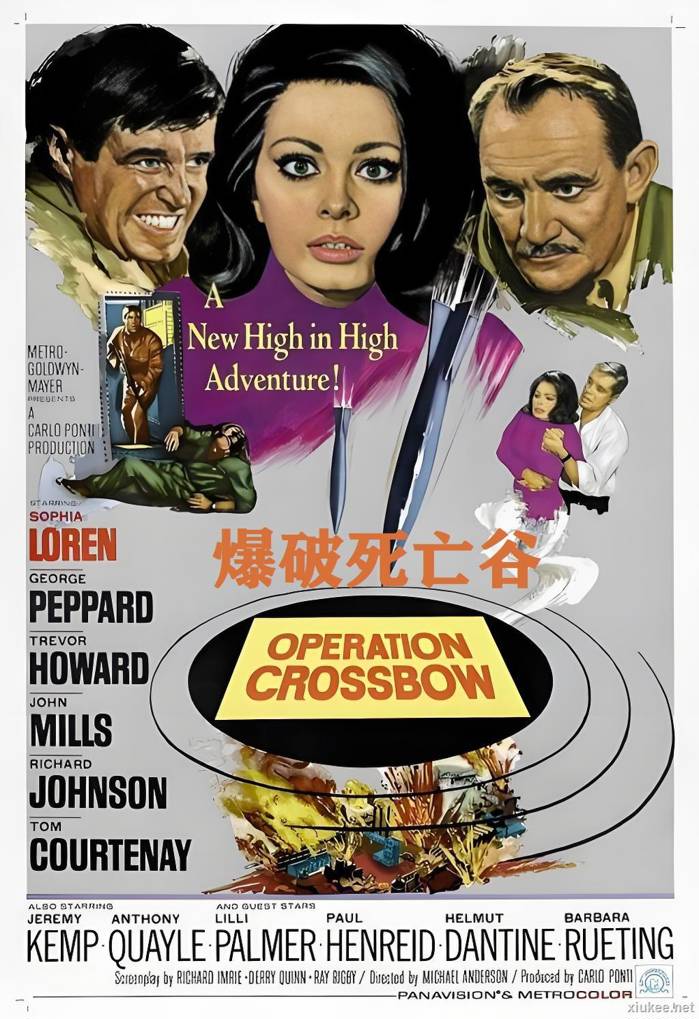 爆破死亡谷OperationCrossbow
