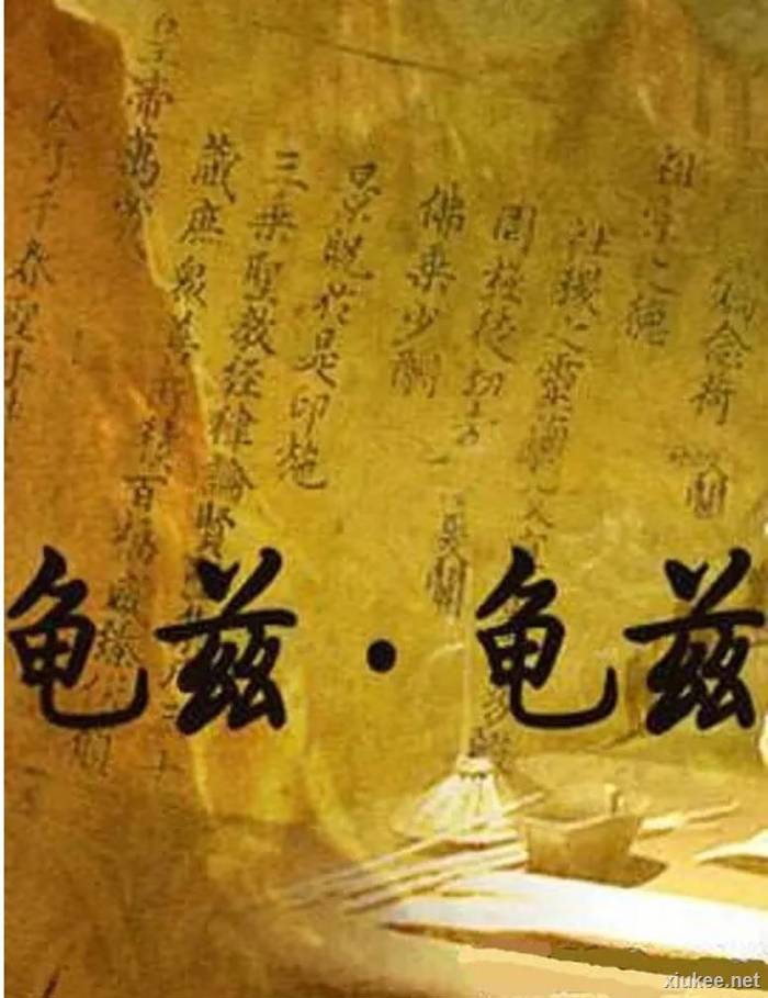 龟兹龟兹