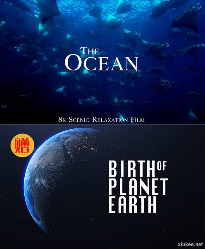 The Ocean 4K Scenic Wildlife Film