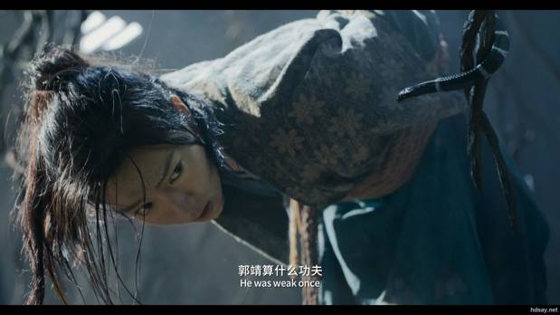 射雕英雄传：侠之大者