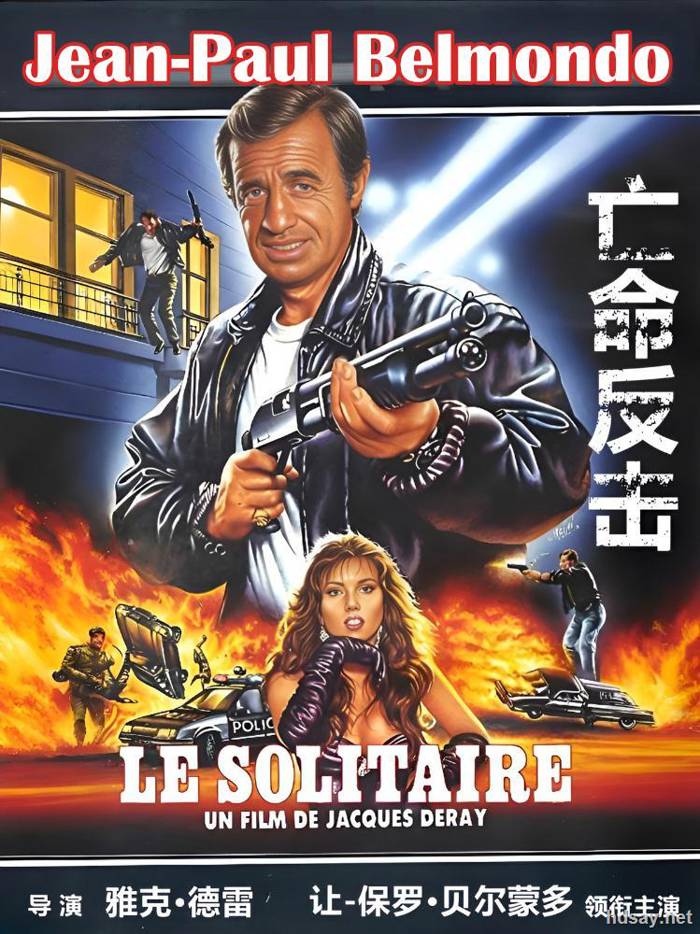 Le solitaire
